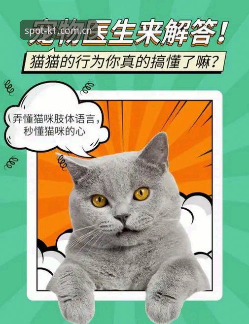 避开这三个坑，才算真正弄懂随手装坐标首发一站即可CN版哪个好